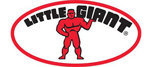 Little Giant